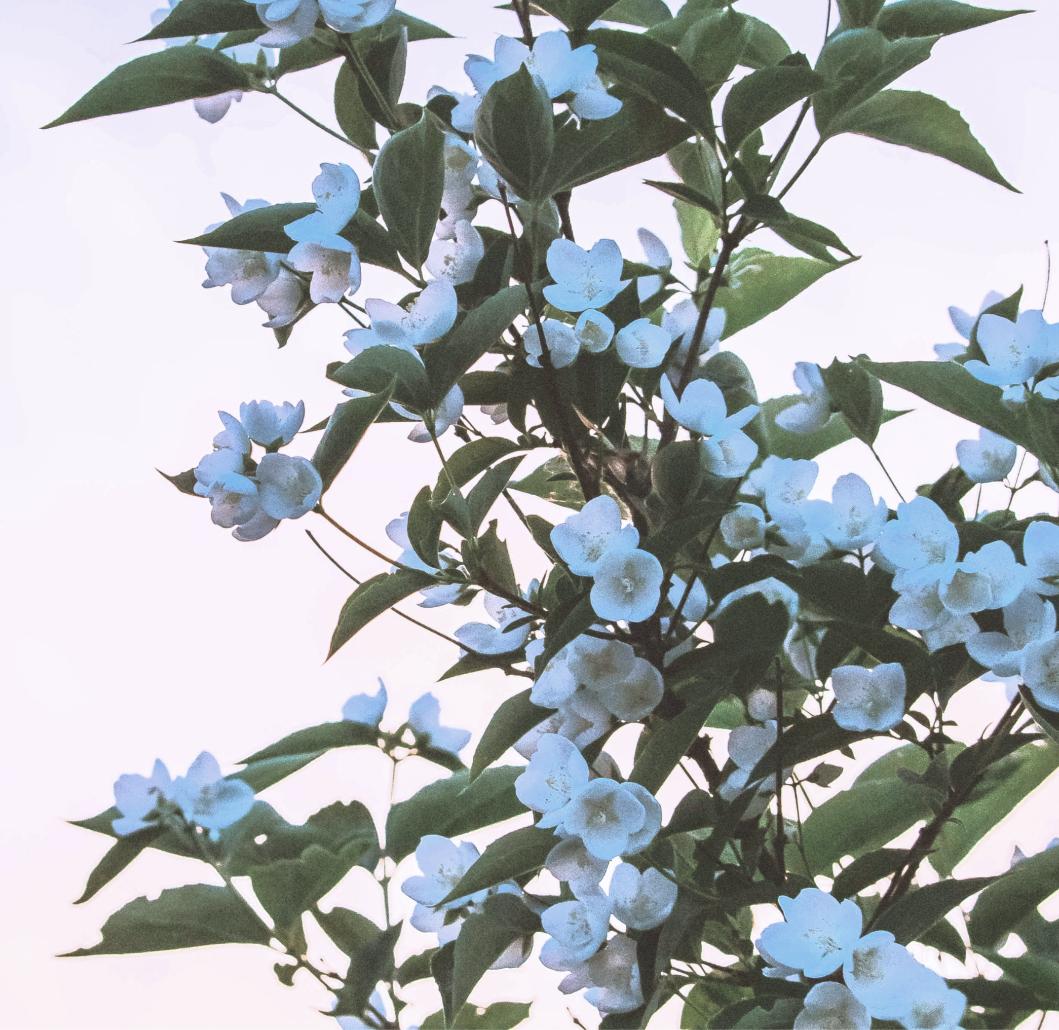 Culti_Milano_the_stile_Servant_Molteni_online_store_showroom_Lisbon_2.jpg Culti_Milano_the_stile_Servant_Molteni_online_store_showroom_Lisbon_2.jpg