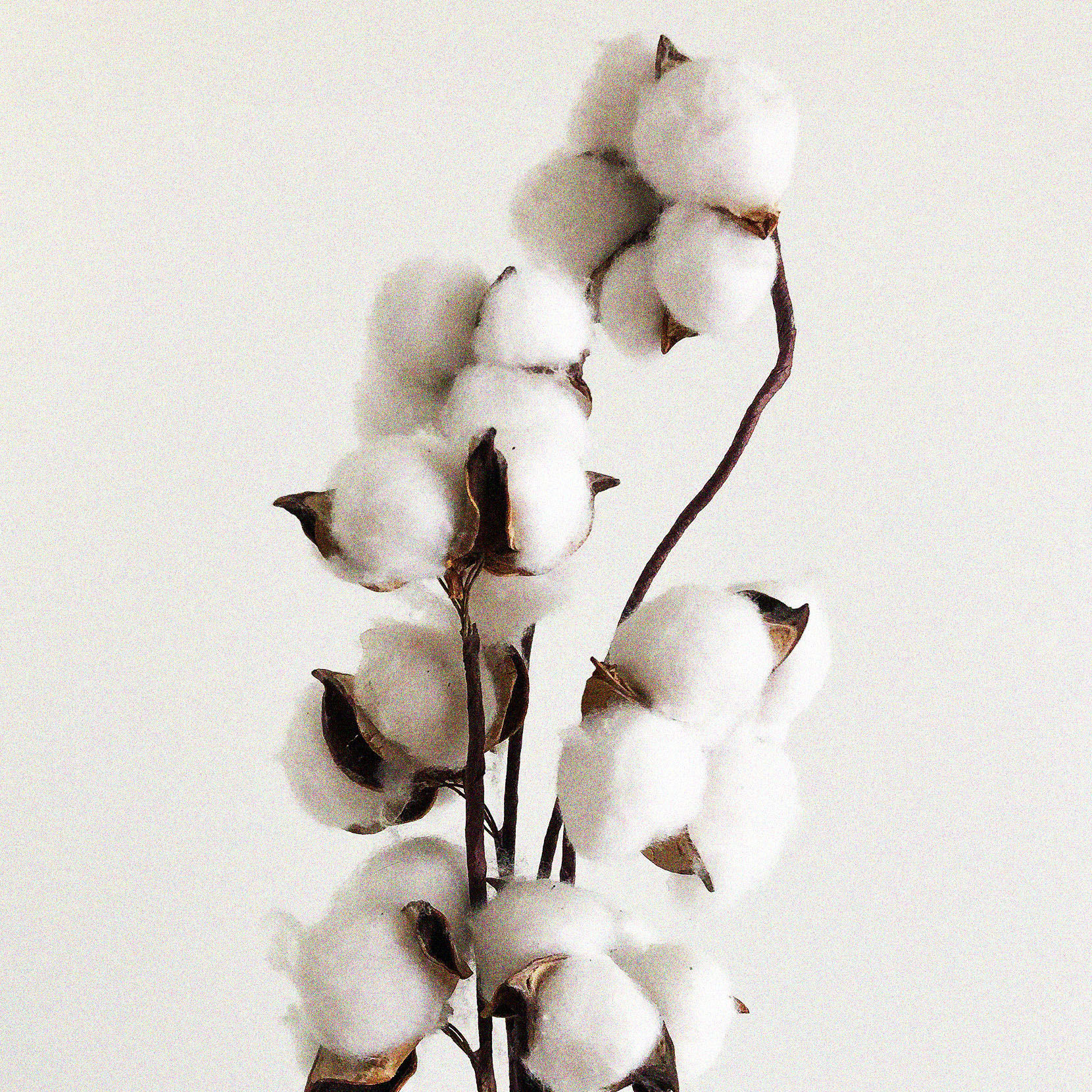 Tessuto_hover.jpg Tessuto_hover.jpg