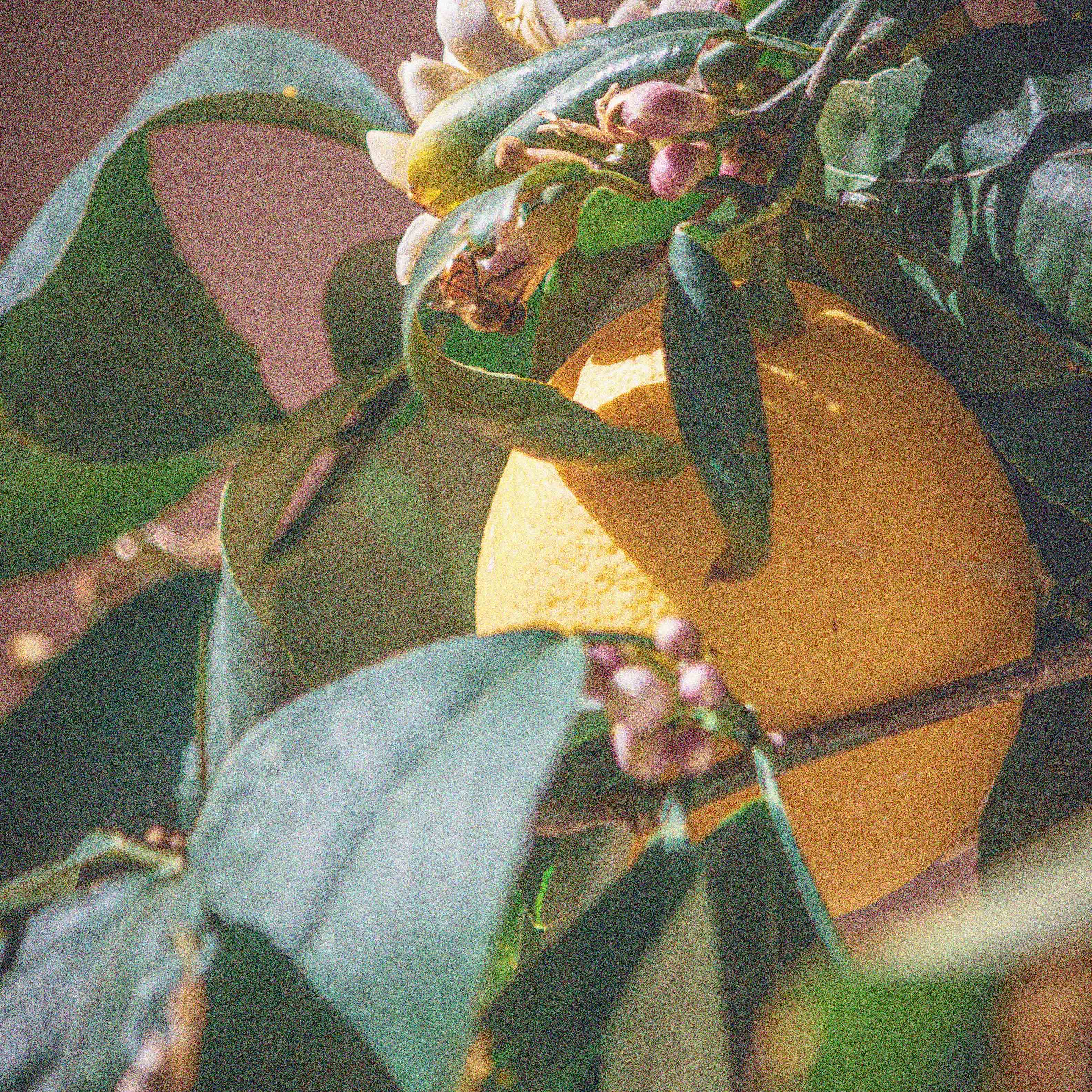 elijah-ekdahl-xPWgHZAiUVM-unsplash copy.jpg elijah-ekdahl-xPWgHZAiUVM-unsplash copy.jpg