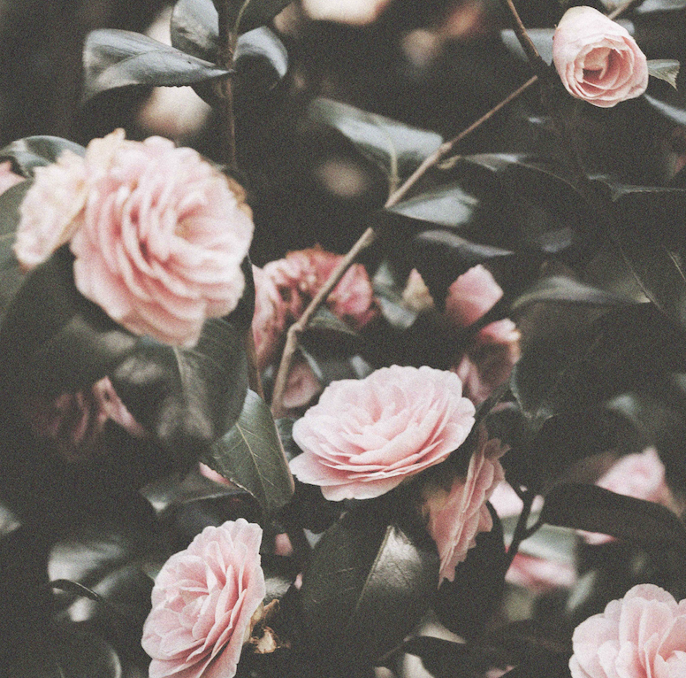 Screenshot 2023-11-21 at 18.25.13.png Screenshot 2023-11-21 at 18.25.13.png