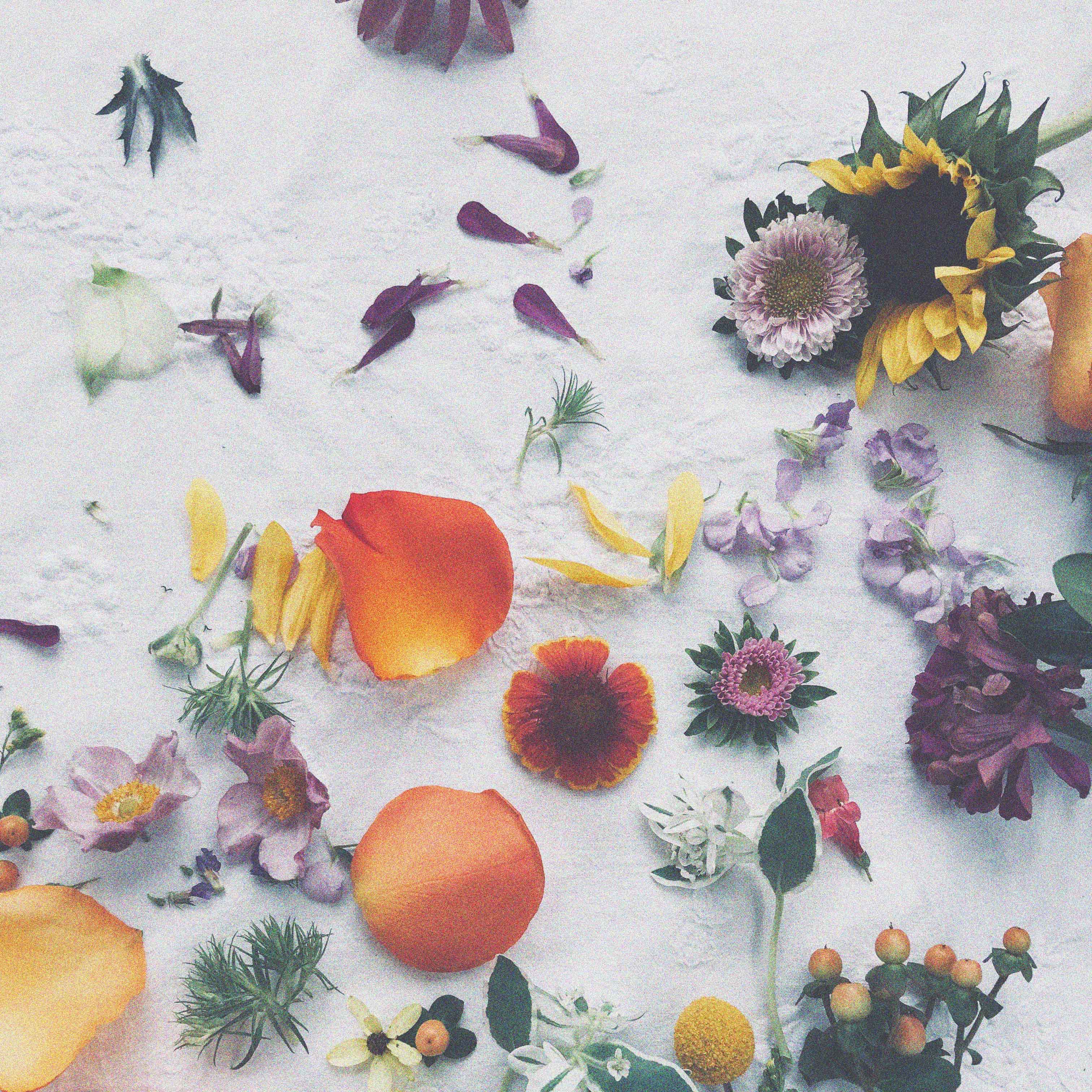 Culti_Milano_velvet_candle_Servant_Molteni_online_store_showroom_Lisbon_2.jpg Culti_Milano_velvet_candle_Servant_Molteni_online_store_showroom_Lisbon_2.jpg