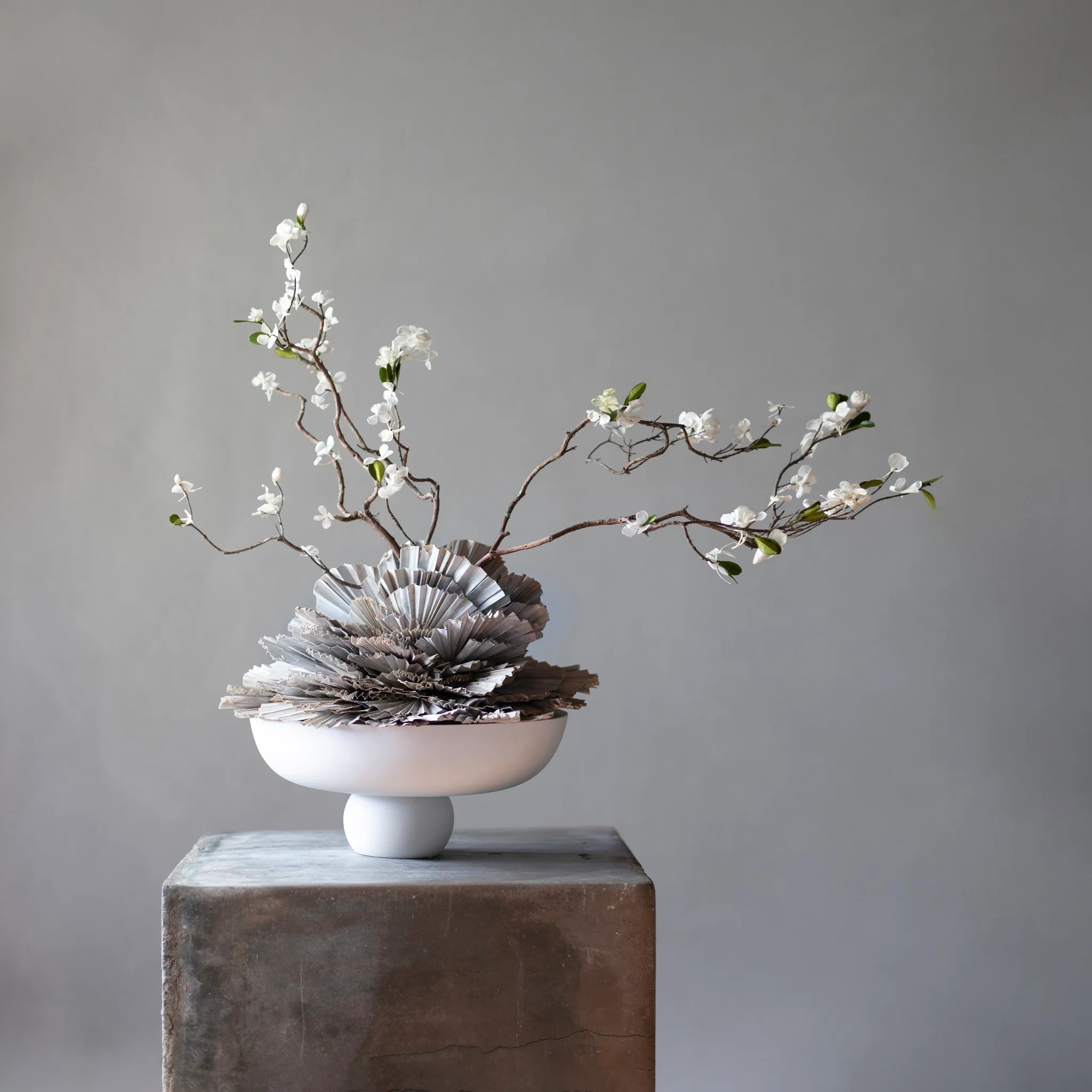 Baburu_Bowl_Medio_-_Bone_White_-_Labotanica_Collaboration_2048x.webp Baburu_Bowl_Medio_-_Bone_White_-_Labotanica_Collaboration_2048x.webp