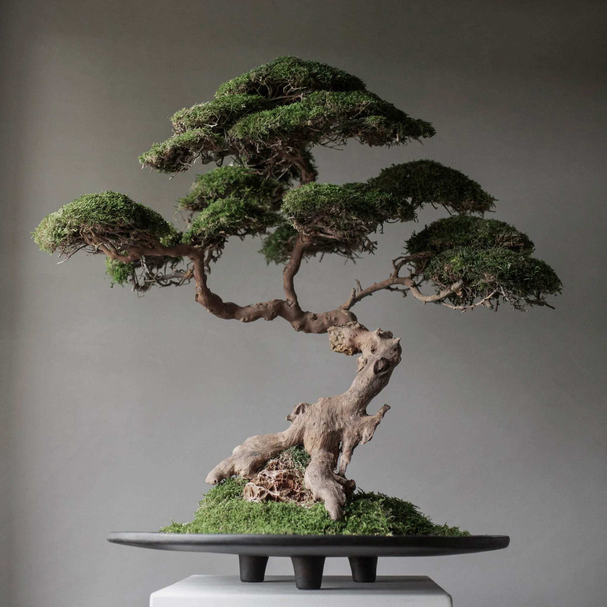 101cph_duke_tray_Showroom_Servant_online_store_2.jpg  101cph_duke_tray_Showroom_Servant_online_store_2.jpg