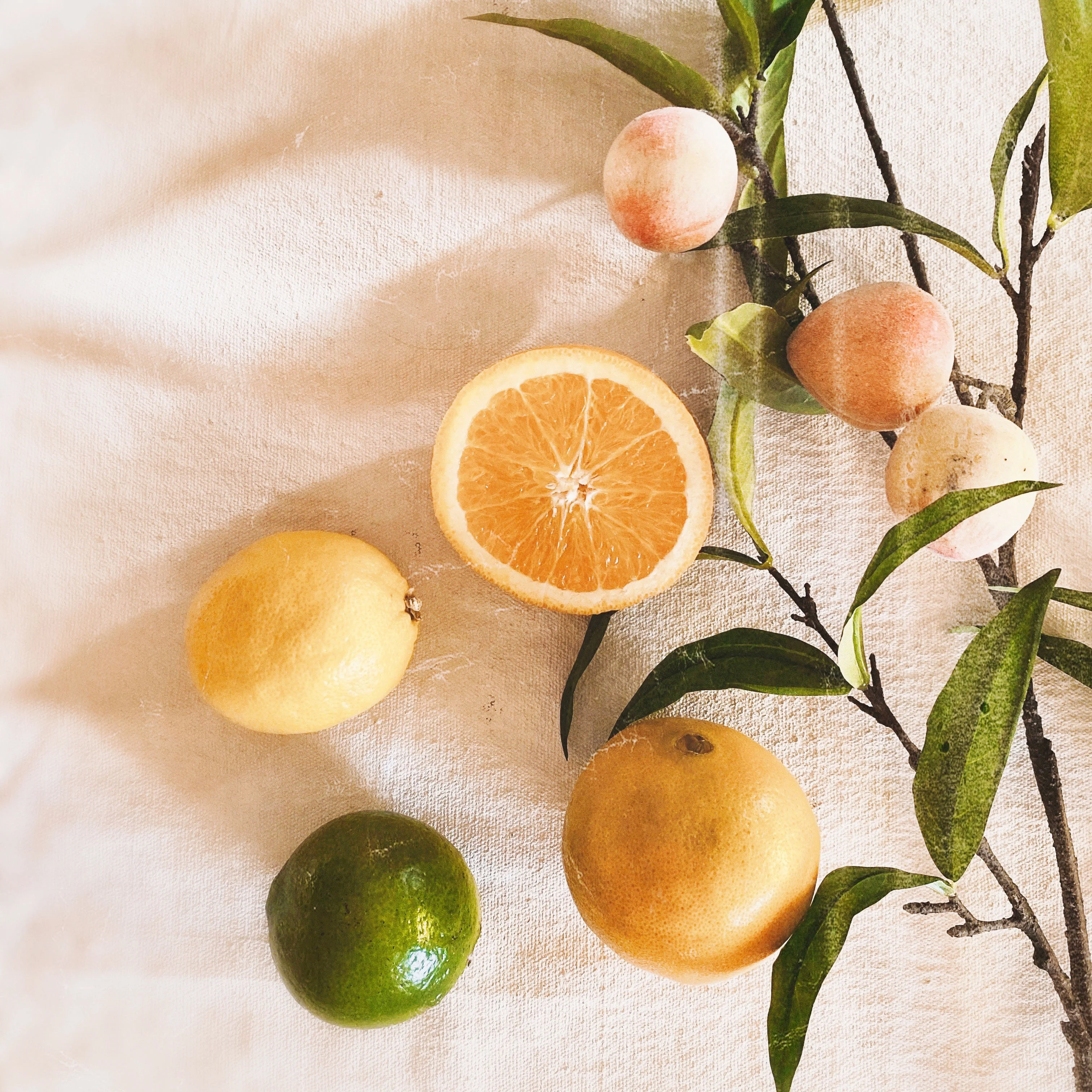 -148-coco-tafoya-btlvephu5o-unsplash-copy-20231121114803.webp -148-coco-tafoya-btlvephu5o-unsplash-copy-20231121114803.webp