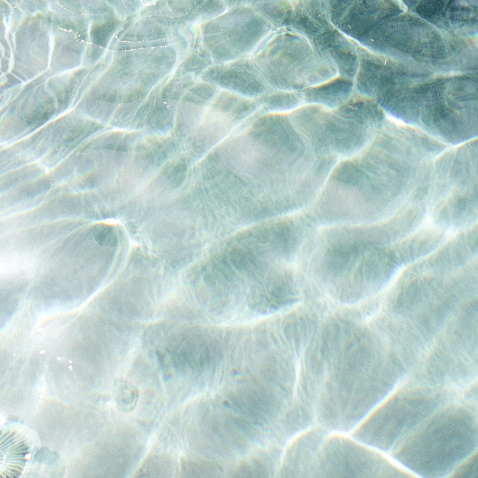 -155-mr-hover-culti-20231121154841.webp -155-mr-hover-culti-20231121154841.webp