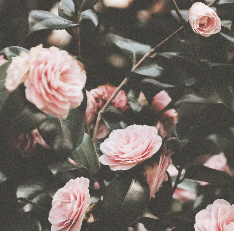 -161-screenshot-2023-11-21-at-182513-20231121184720.webp -161-screenshot-2023-11-21-at-182513-20231121184720.webp