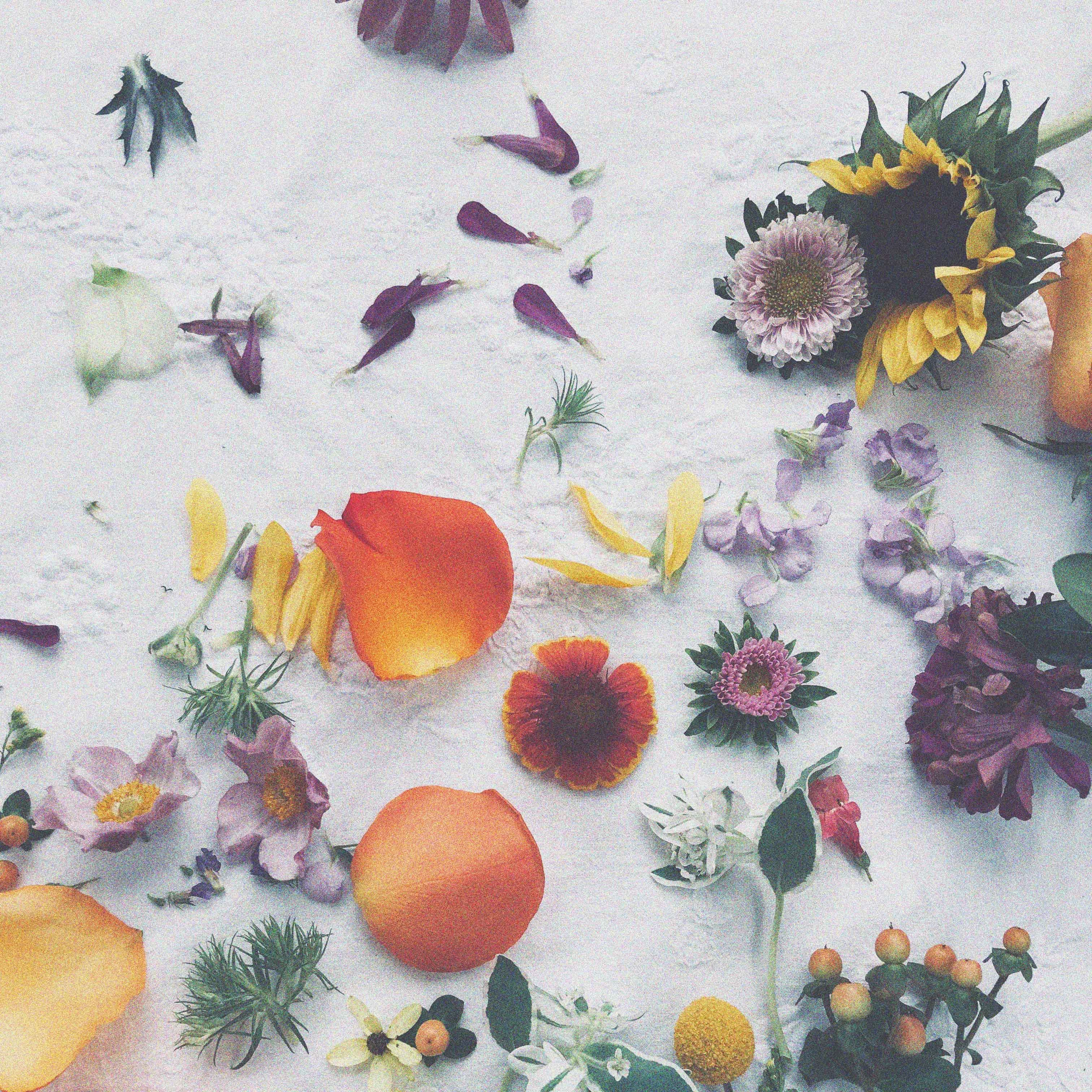 -185-hover-velvet-20231123122425.webp -185-hover-velvet-20231123122425.webp