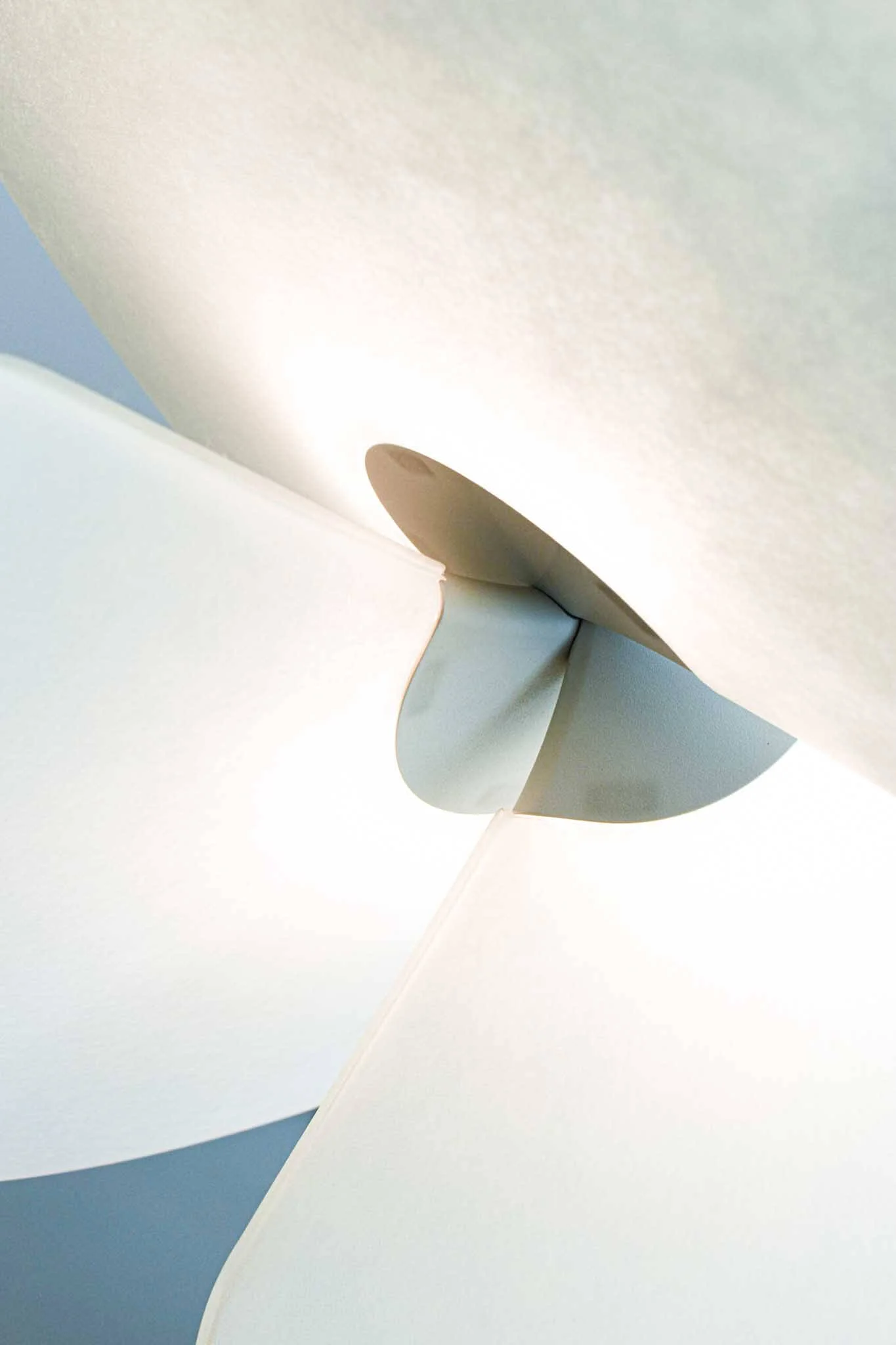 -395-dsc-1288-20240701164302.webp -395-dsc-1288-20240701164302.webp