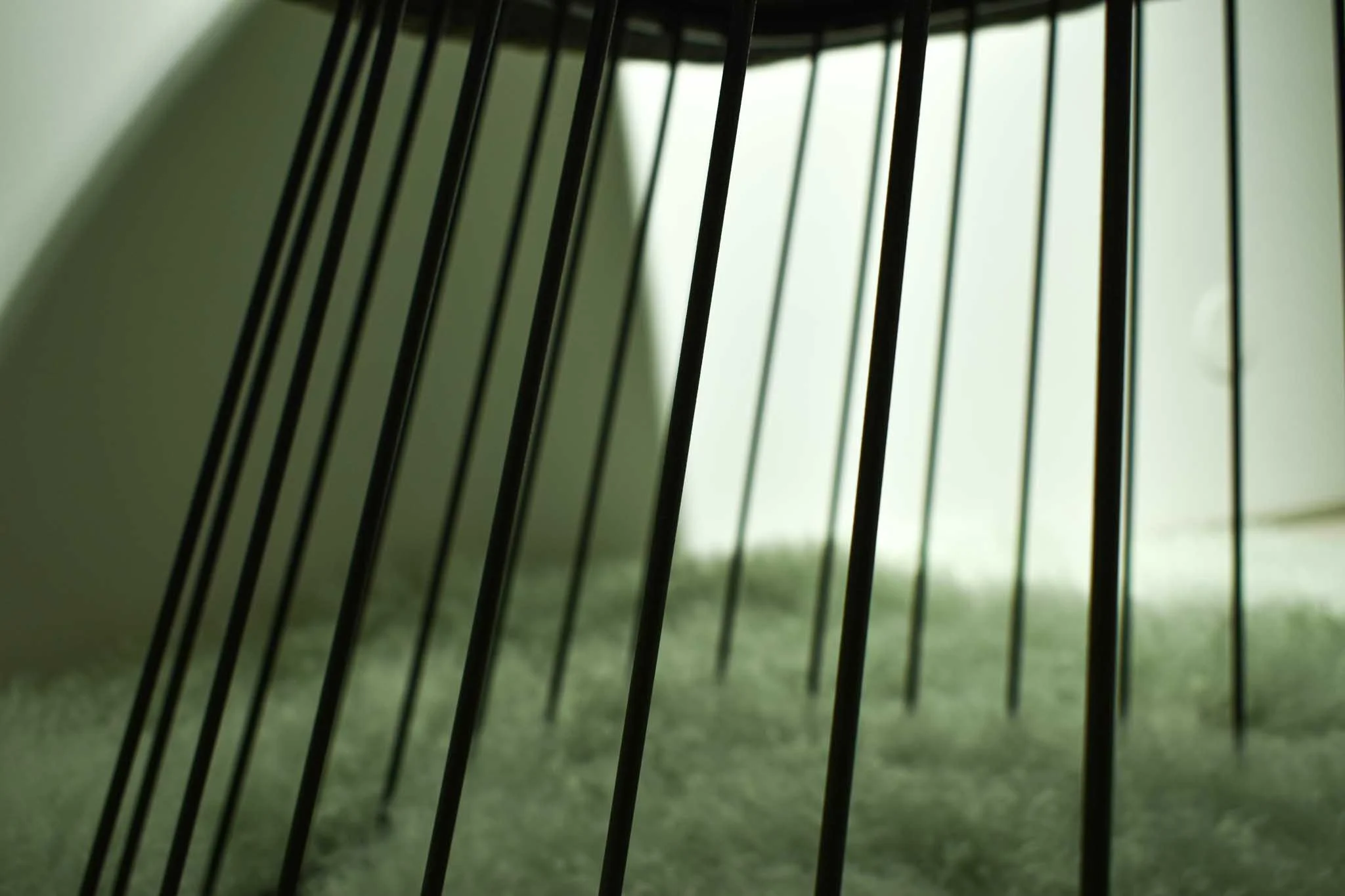 -92-dsc-0896-20240628170512.webp -92-dsc-0896-20240628170512.webp